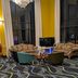 Area lounge