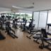 Palestra