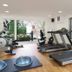 Palestra