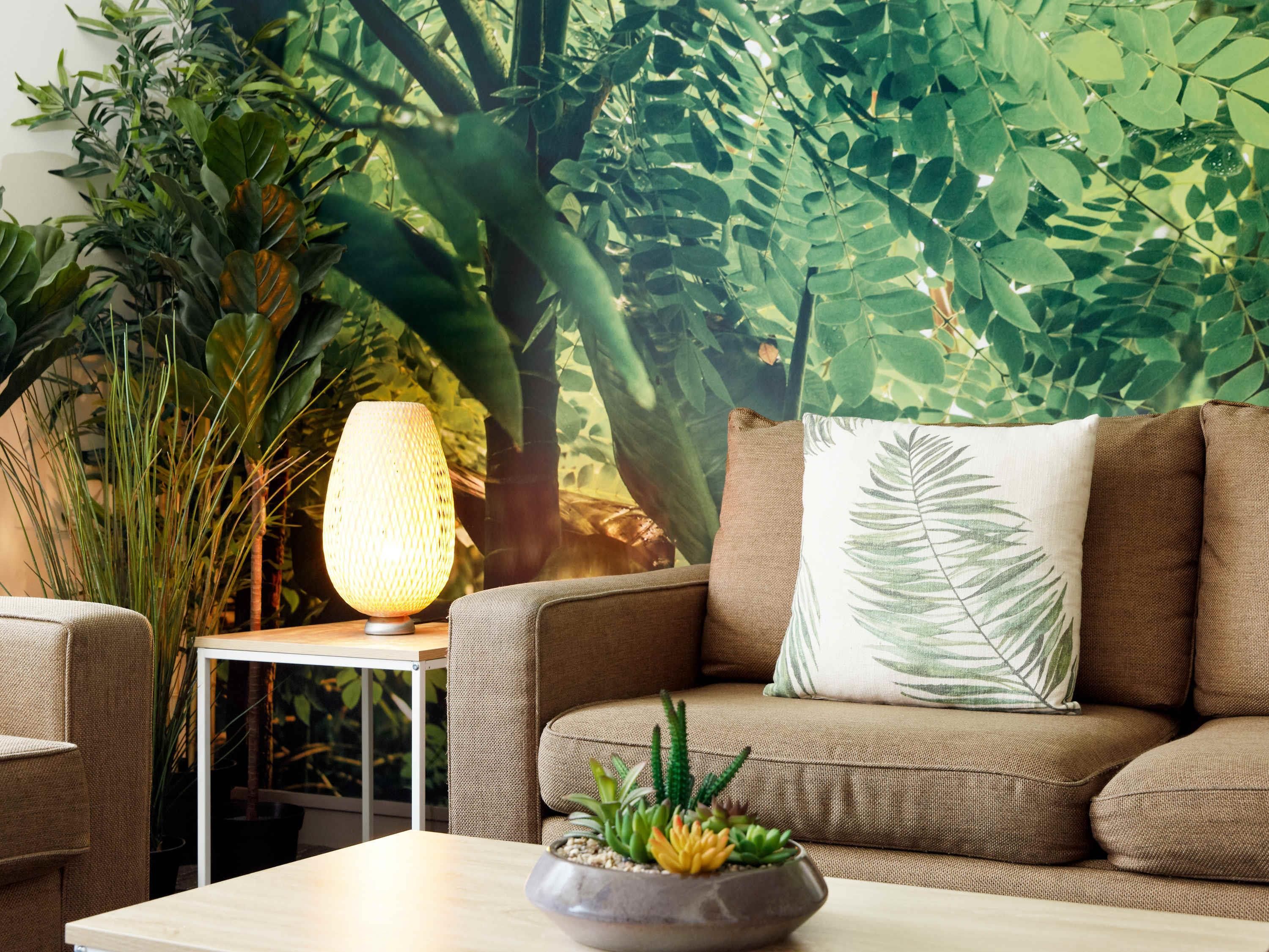 Area lounge