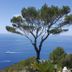 Vista esterna