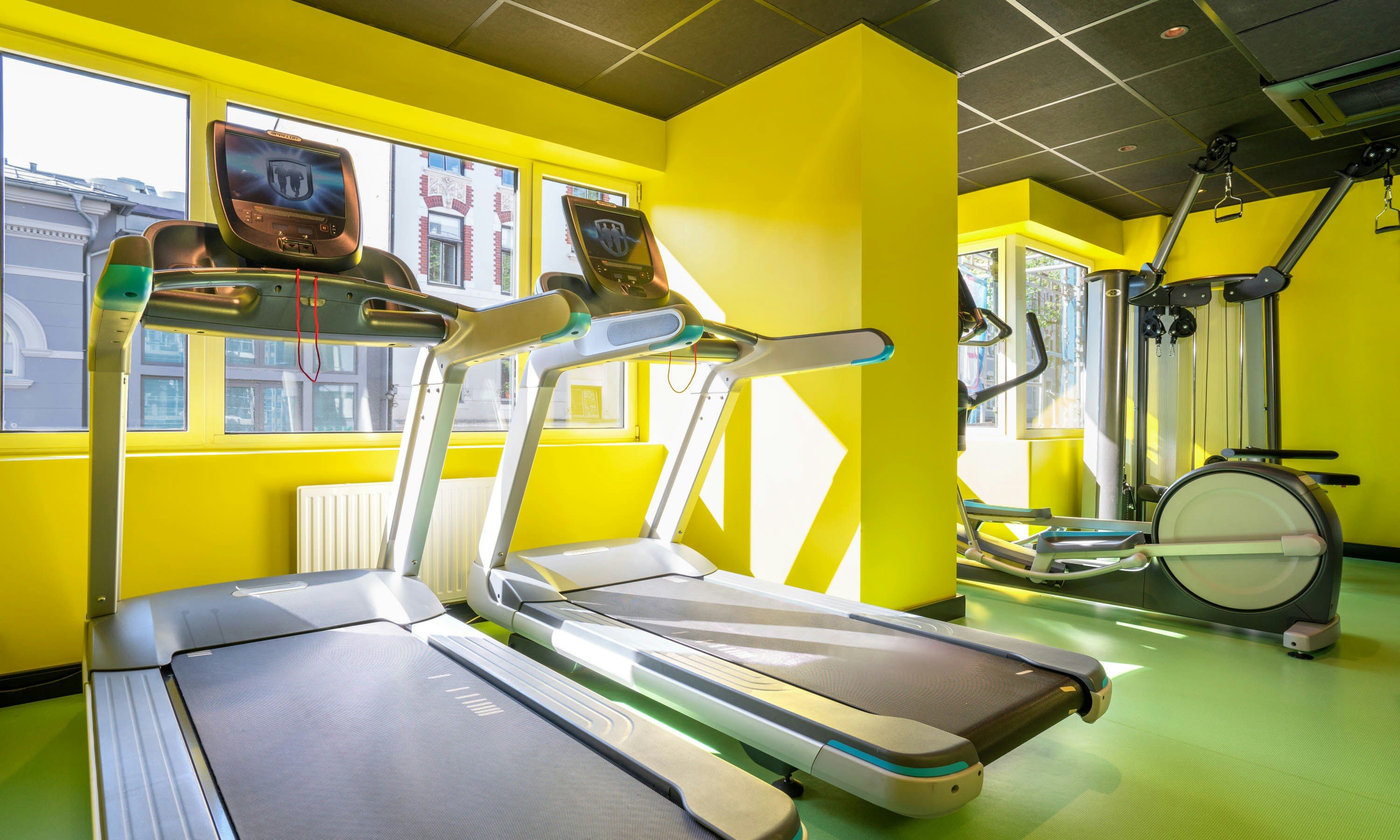 Palestra
