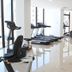 Palestra