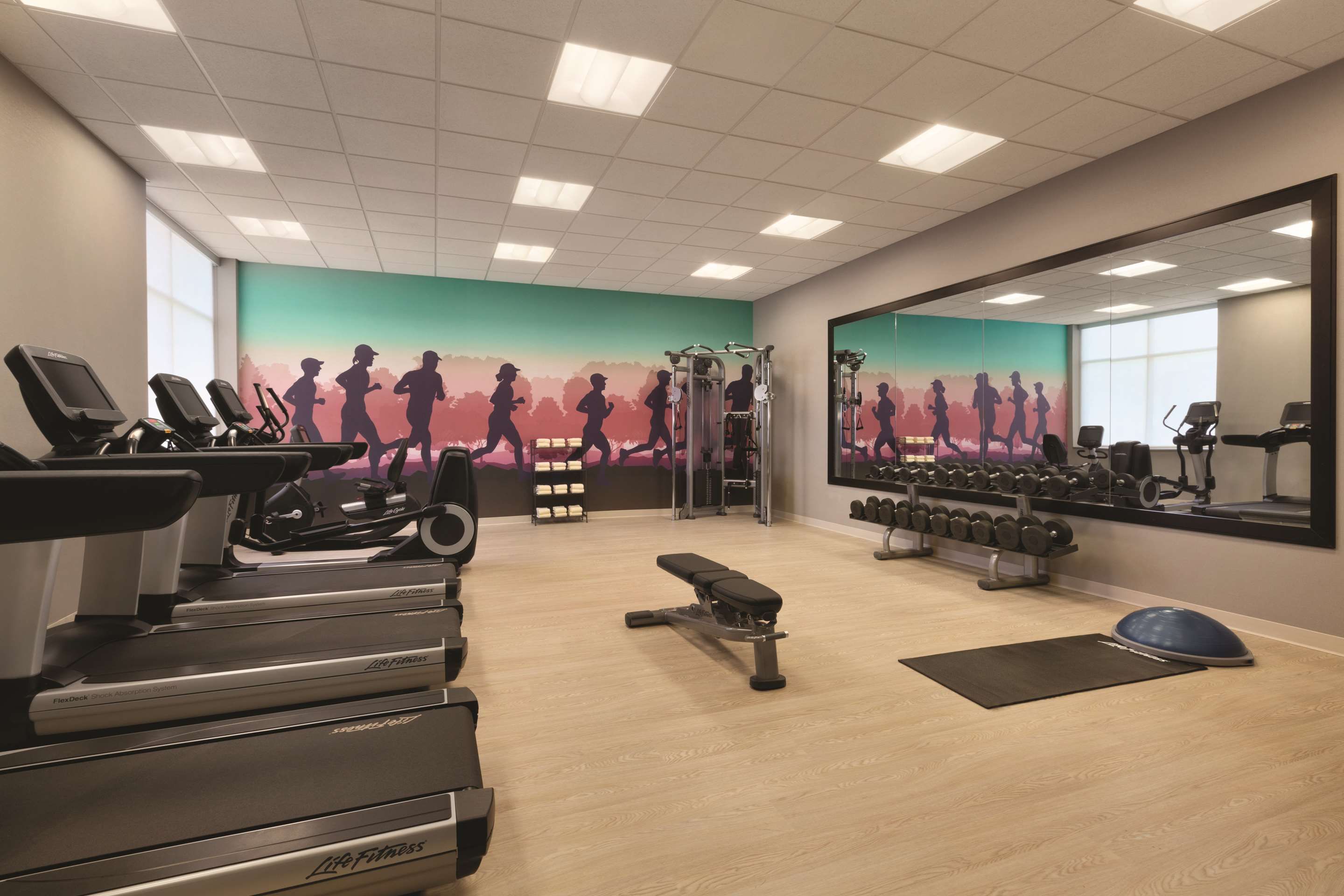 Palestra