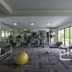 Palestra
