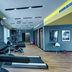 Palestra