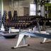 Palestra