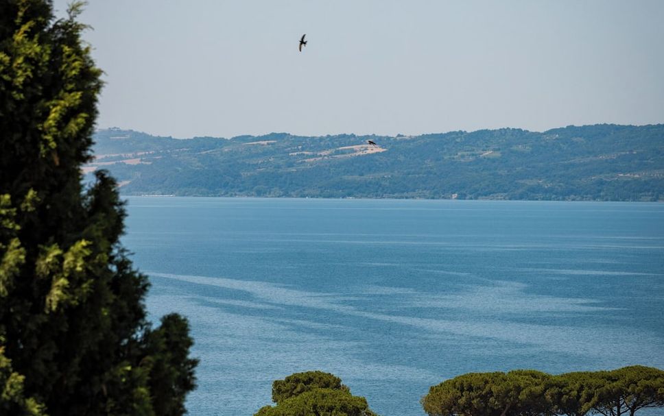 Altro Foto