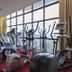 Palestra
