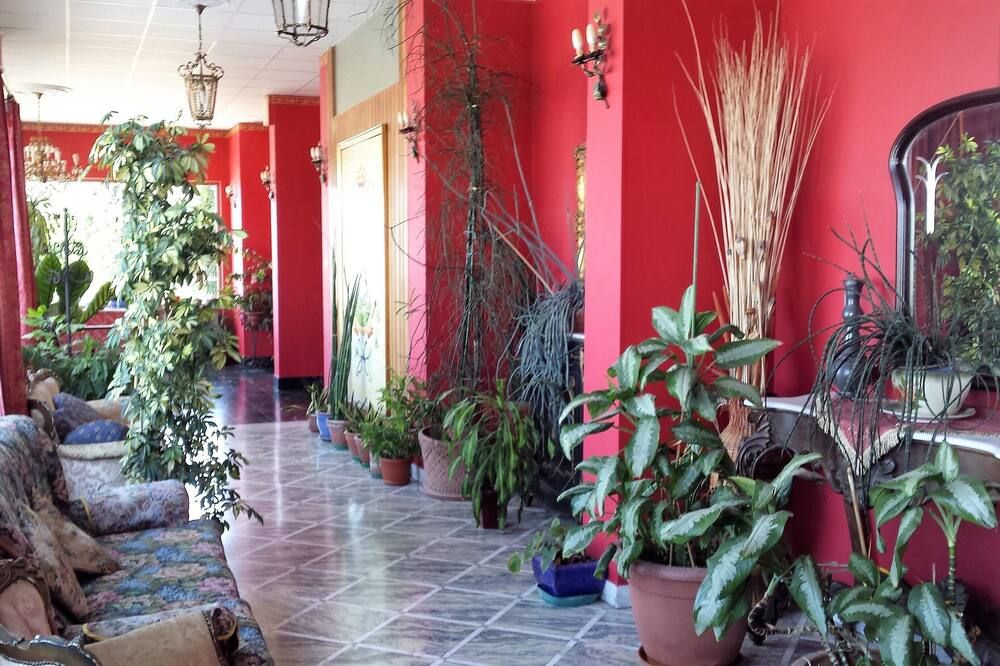 Ingresso Foto