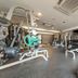 Palestra