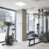 Palestra