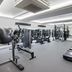 Palestra
