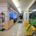 Ingresso