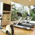 Palestra