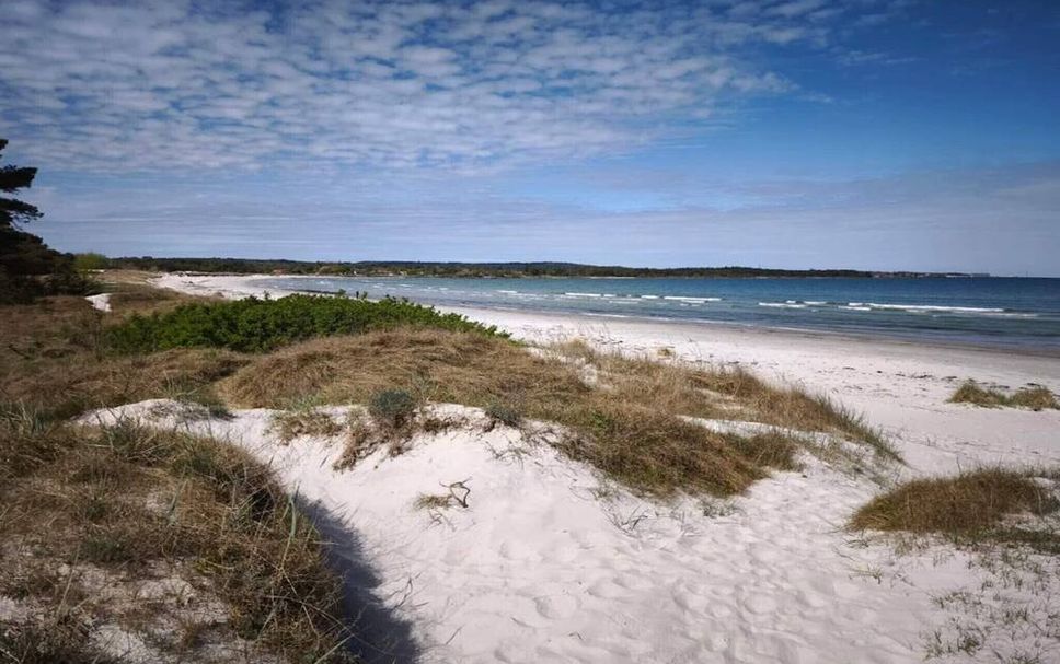 Spiaggia Foto
