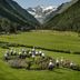 Altro
