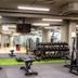 Palestra