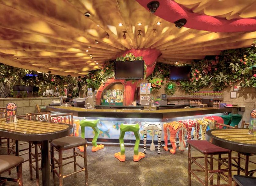 Bar Foto