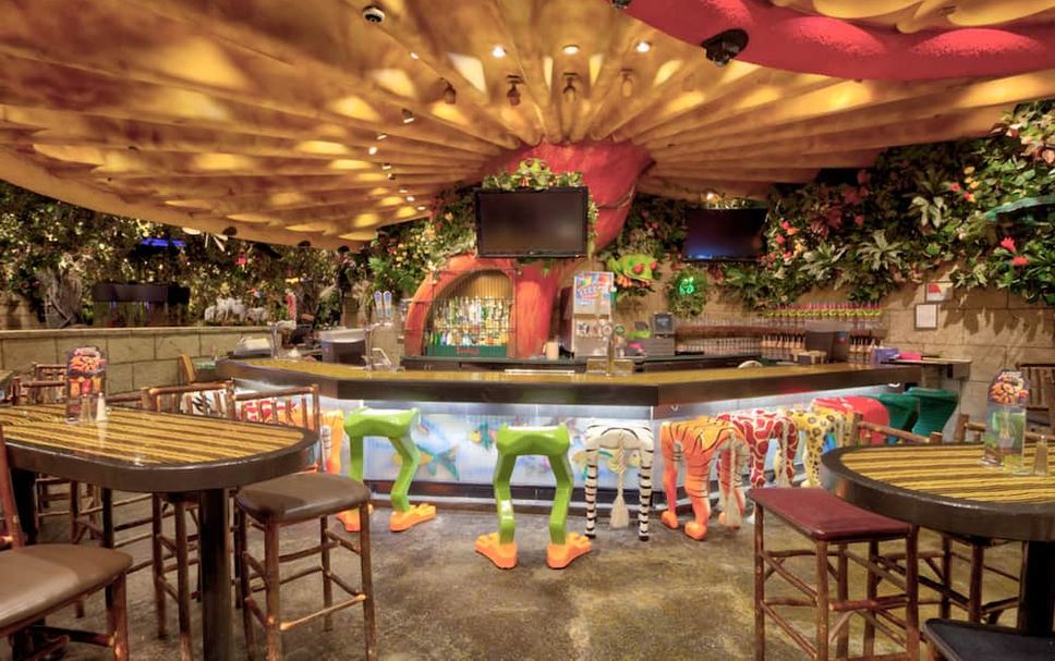 Bar Foto