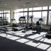 Palestra