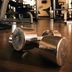 Palestra