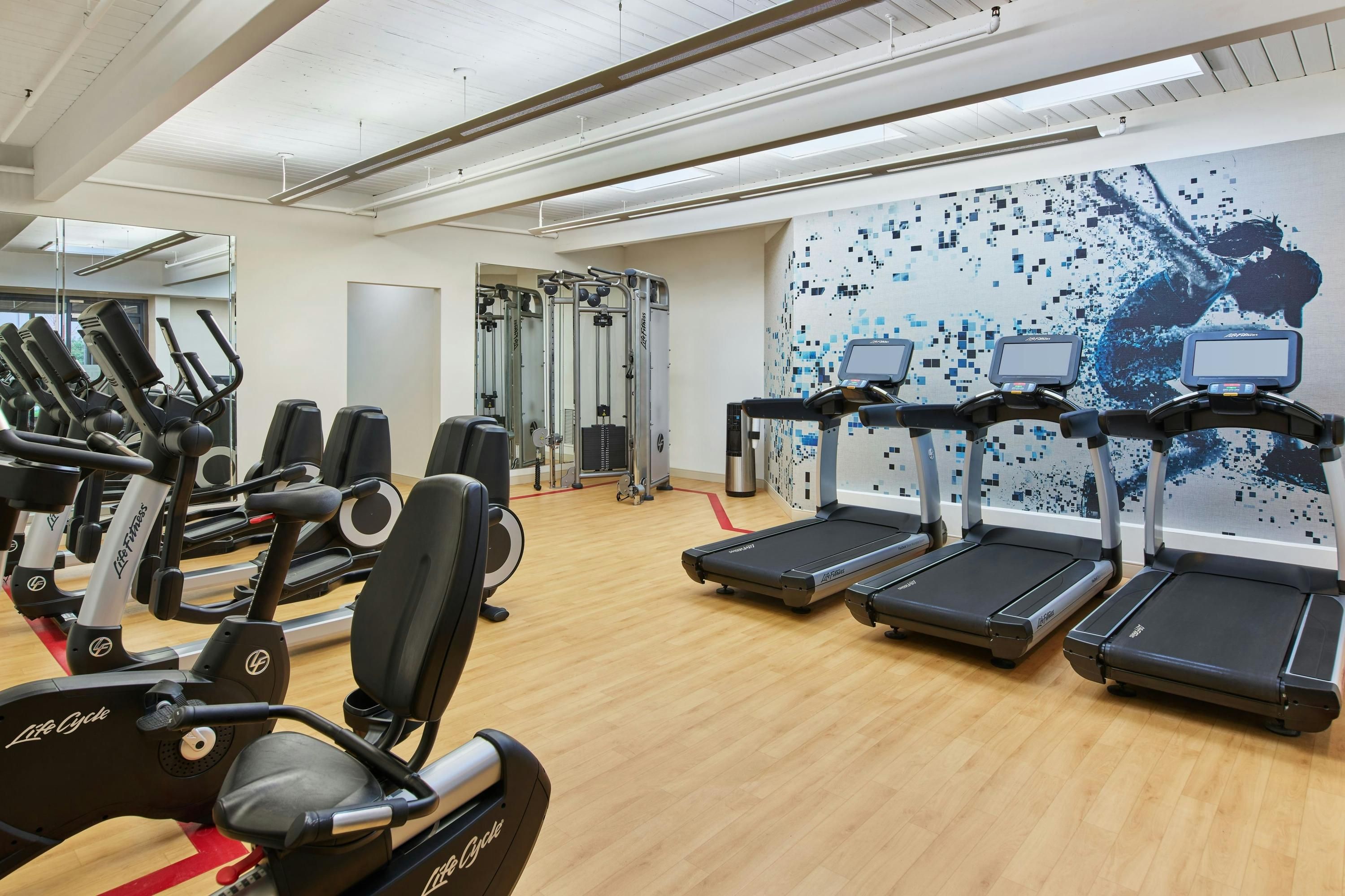 Palestra