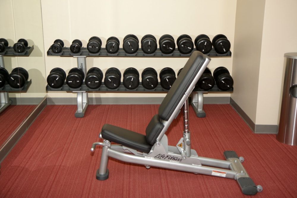 Palestra