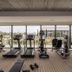 Palestra
