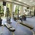 Palestra