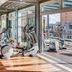 Palestra