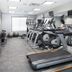 Palestra