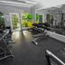 Palestra