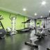 Palestra