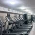 Palestra