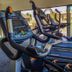 Palestra