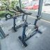 Palestra
