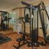Palestra