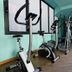 Palestra