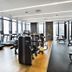 Palestra