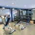 Palestra