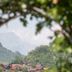 Vista esterna