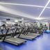 Palestra
