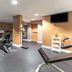 Palestra