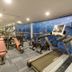 Palestra