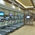 Palestra