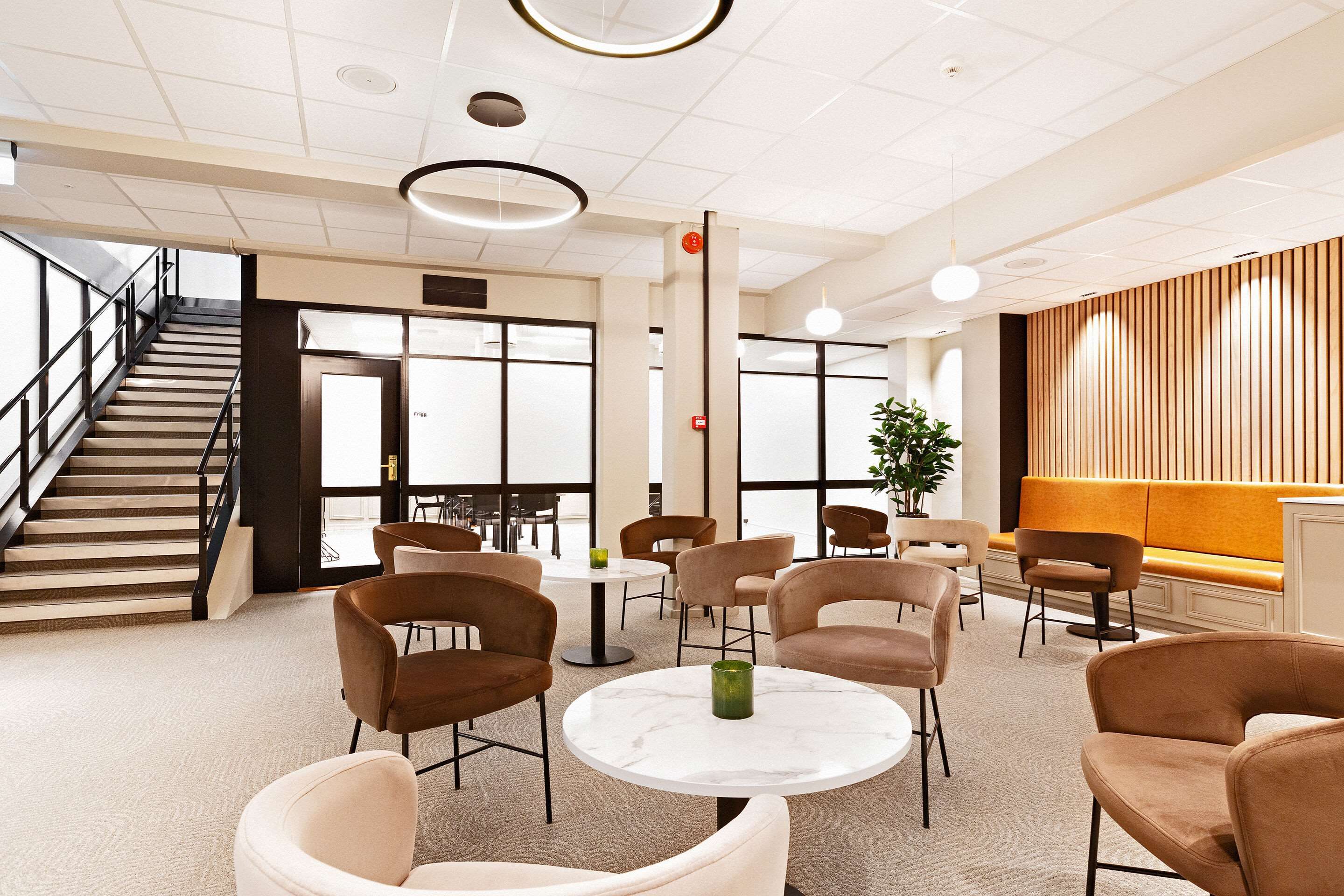 Area lounge