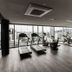 Palestra