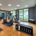 Palestra