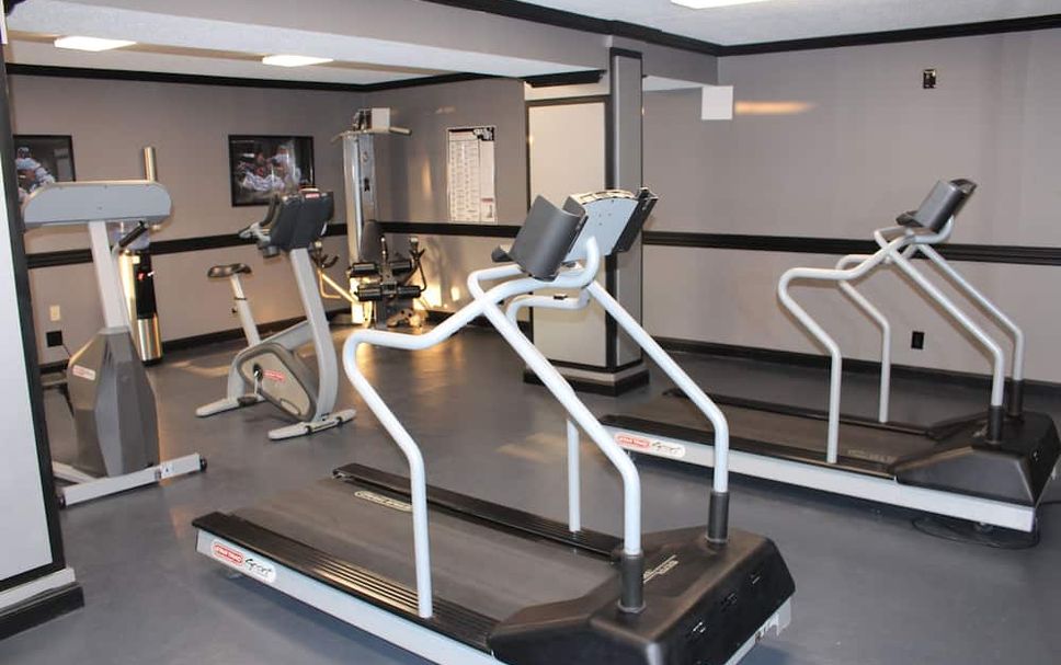 Palestra Foto
